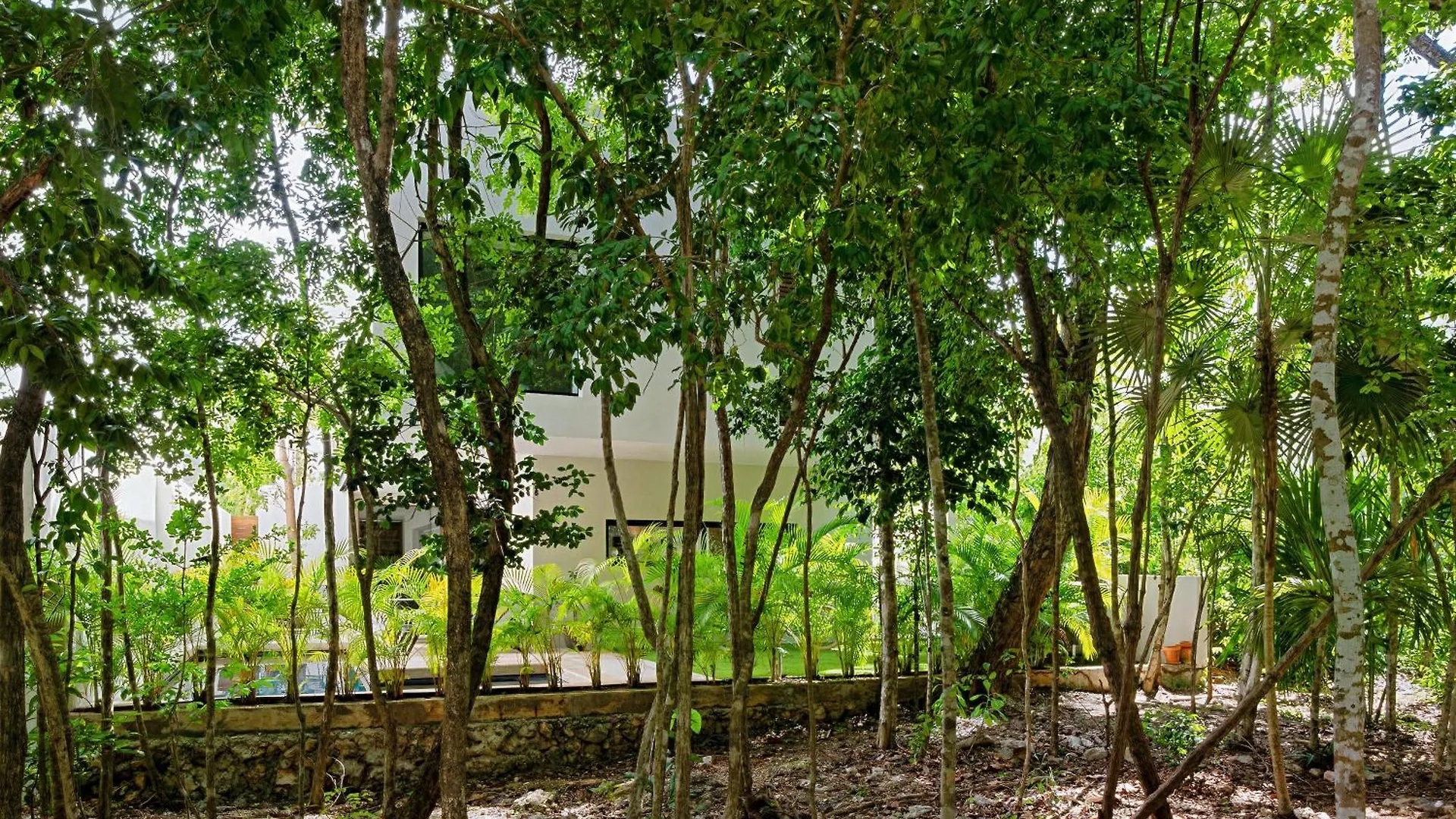 Lux Retreat In Heart Of Nature - Casa Senderos Playa del Carmen 0*,  Mexico