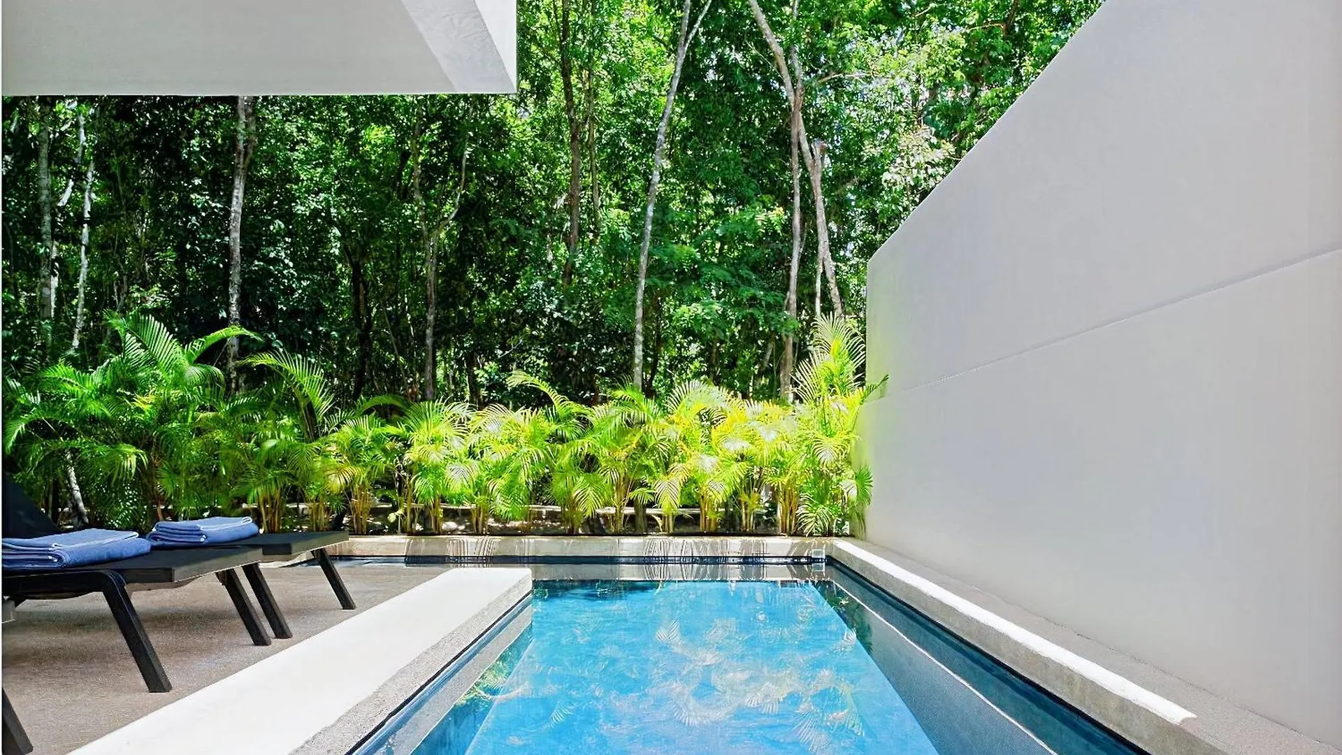 Lux Retreat In Heart Of Nature - Casa Senderos Playa del Carmen 0*,  Mexico